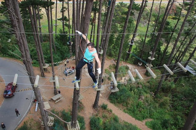 Simon on Ladder of Fury